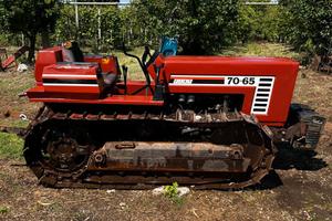Trattore Cingolato Fiat 70-65