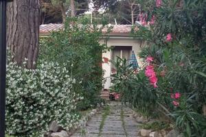 Disponibile per agosto + settembre