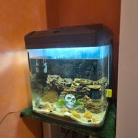 acquario 60 lt come nuovo con vetro curvo