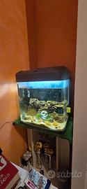 acquario 60 lt come nuovo con vetro curvo