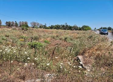 Terreno agricolo angolare - 2.500 mq - SP119