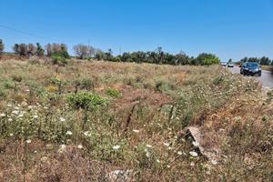 Terreno agricolo angolare - 2.500 mq - SP119