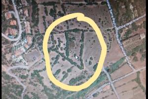 Terreno agricolo