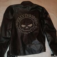 Giubbotto  Harley Davidson pelle skull taglia M