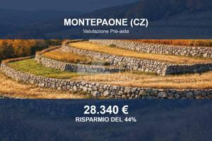 Immobile in asta di 42728 m² a Montepaone