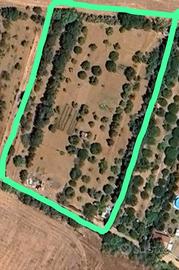 Terreno Agricolo Elmas 5.500m2