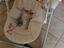 Immagine 3