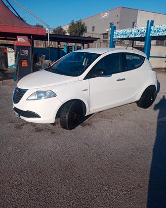 LANCIA YPSILON 1.3 MULTIJET 95 CV 