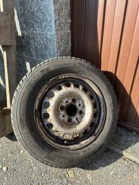 Gomme pandino
