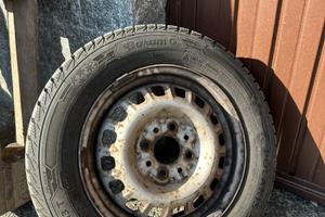 Gomme pandino