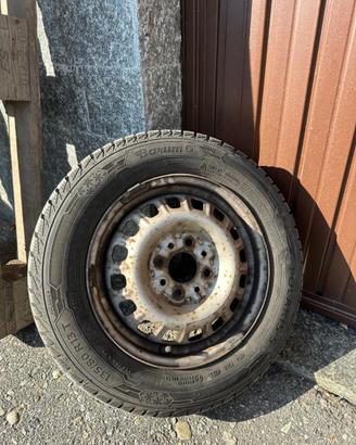 Gomme pandino