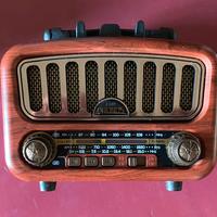 PRUNUS radio fm bluetooth portatile