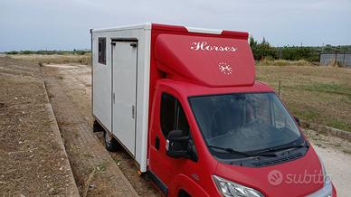 Mezzo trasporto cavalli