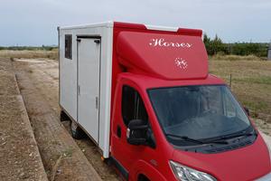 Mezzo trasporto cavalli