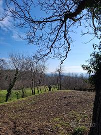 Terreno edificabile con rustico