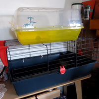 Gabbie per Animali