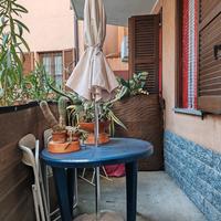 ombrellone con pianta