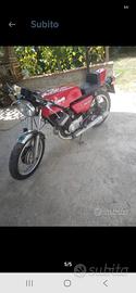 BENELLI 250 cc