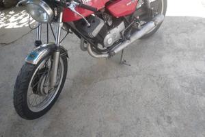BENELLI 250 cc