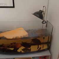 acquario circa 200 litri