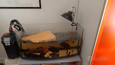 acquario circa 200 litri