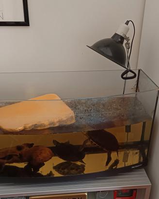 acquario circa 200 litri