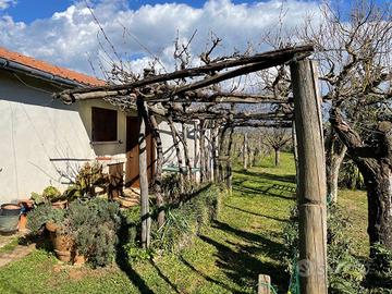 Terreno con annesso agricolo