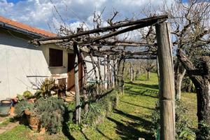 Terreno con annesso agricolo