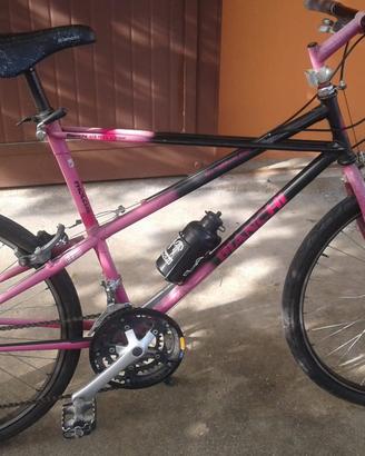 Mountain bike