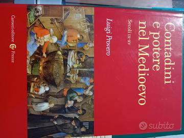 Contadini e potere nel medioevo