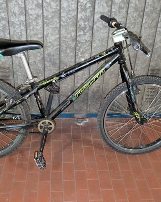bici subsin