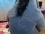 Immagine 5