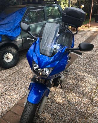 Honda hornet s