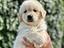 Immagine 11