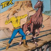 LIBRO TEX NUMERO 393