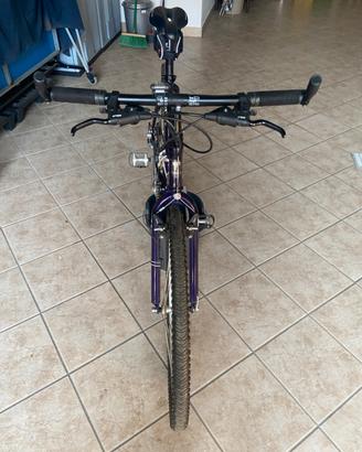 Mountain bike trek