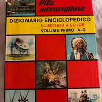 Dizionario enciclopedico - 2 volumi