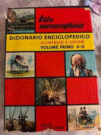 Dizionario enciclopedico - 2 volumi