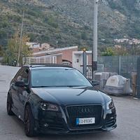 Audi S3 8P 2.0 TFSI