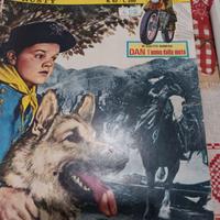 Fumetto Rintintin