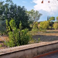 Camera per studenti/lavoratori Campus Trigoria