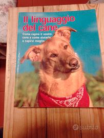 Manuale su capire il linguaggio del vostro cane 