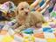 Immagine 27