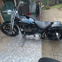 Springer 1450