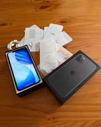 Apple Iphone 11 pro max 64 GB
