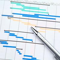 Project/Program Manager