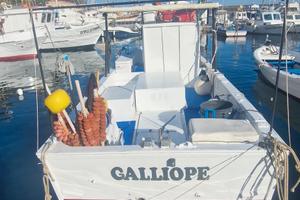 BARCA DA PESCA CON LICENZA PROFESSIONALE