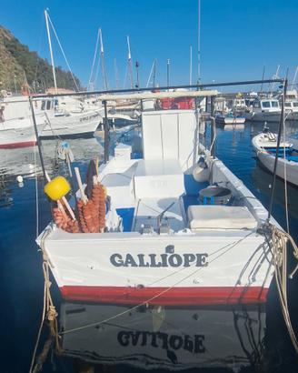 BARCA DA PESCA CON LICENZA PROFESSIONALE