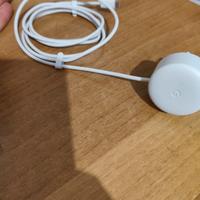 Google home mini