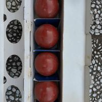 Bocce professionali Salf